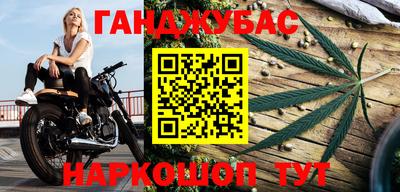 стаф Кунгур