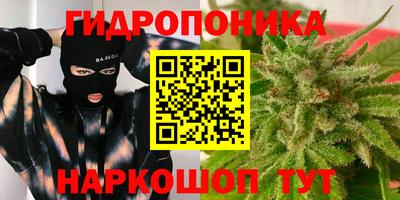 spice Краснознаменск